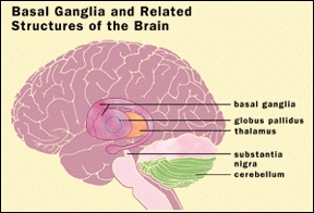 graphic